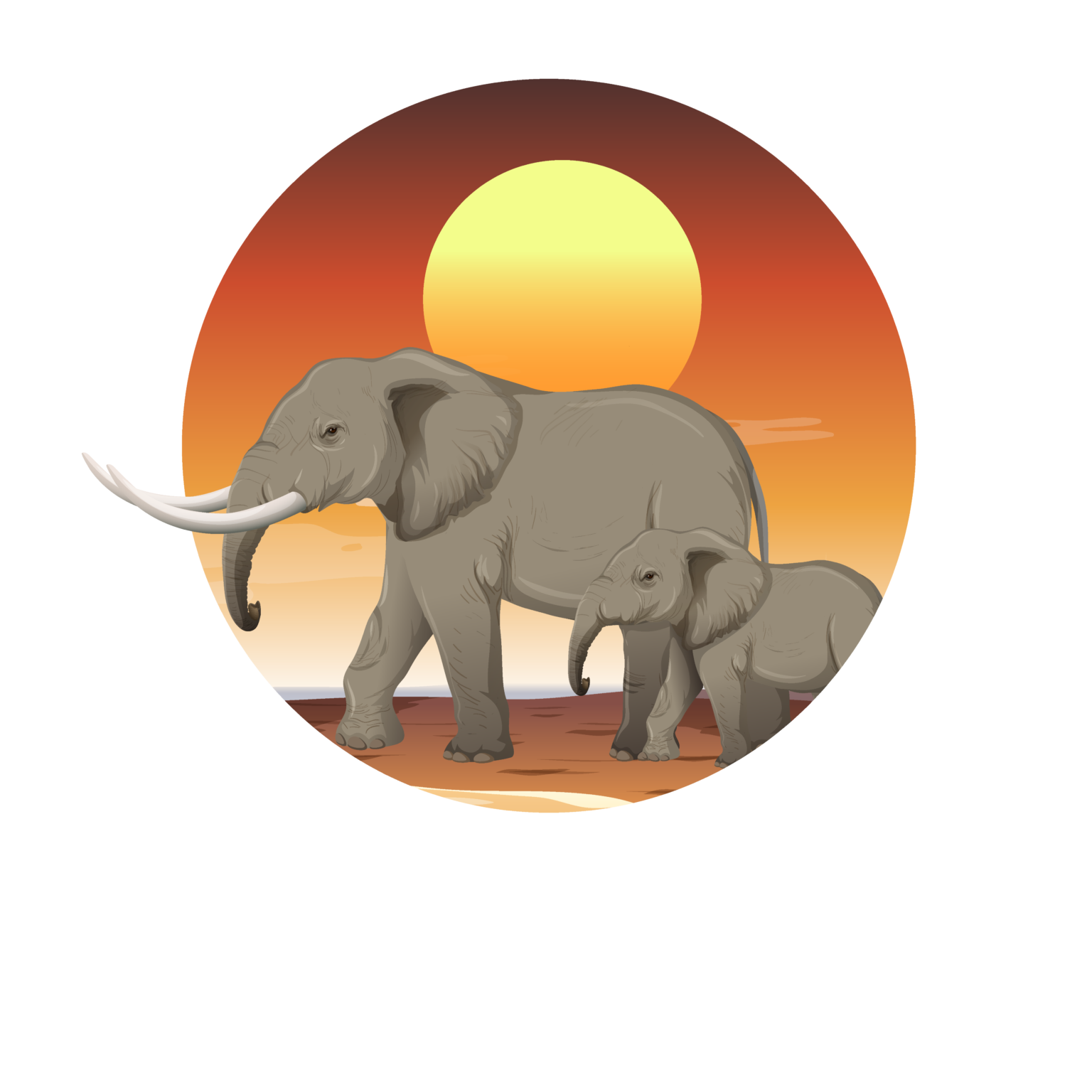 Healthcare Information Uganda - Jewel safaris