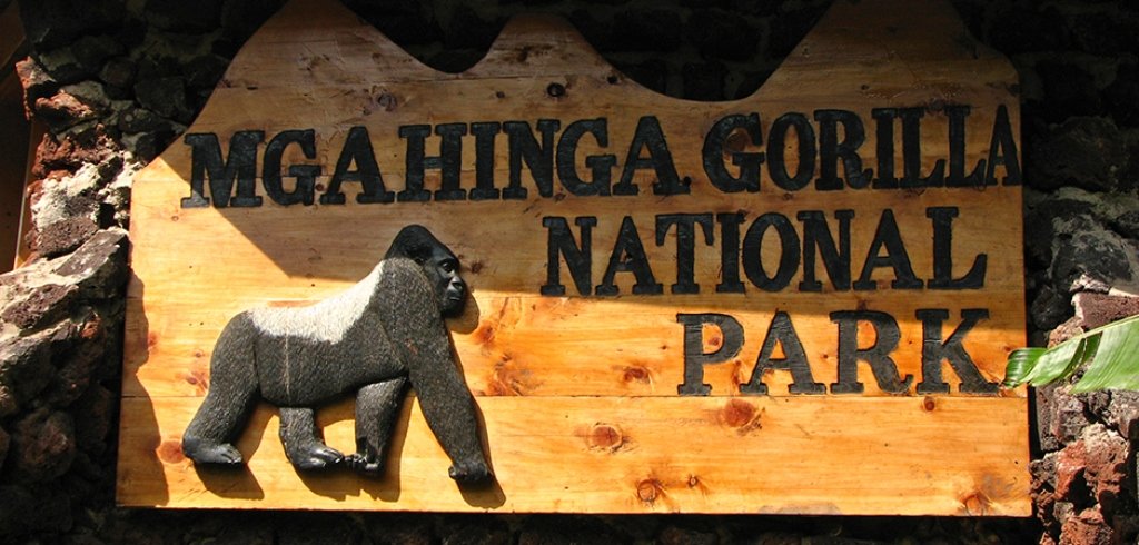 Tourist activities in Mgahinga Gorilla National Park.