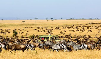 What is The Best Time To Visit Tanzania?