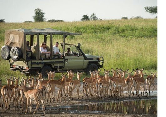Selous Game Reserve Tanzania