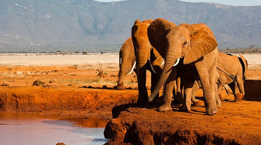 Activities in Tsavo National Park Kenya