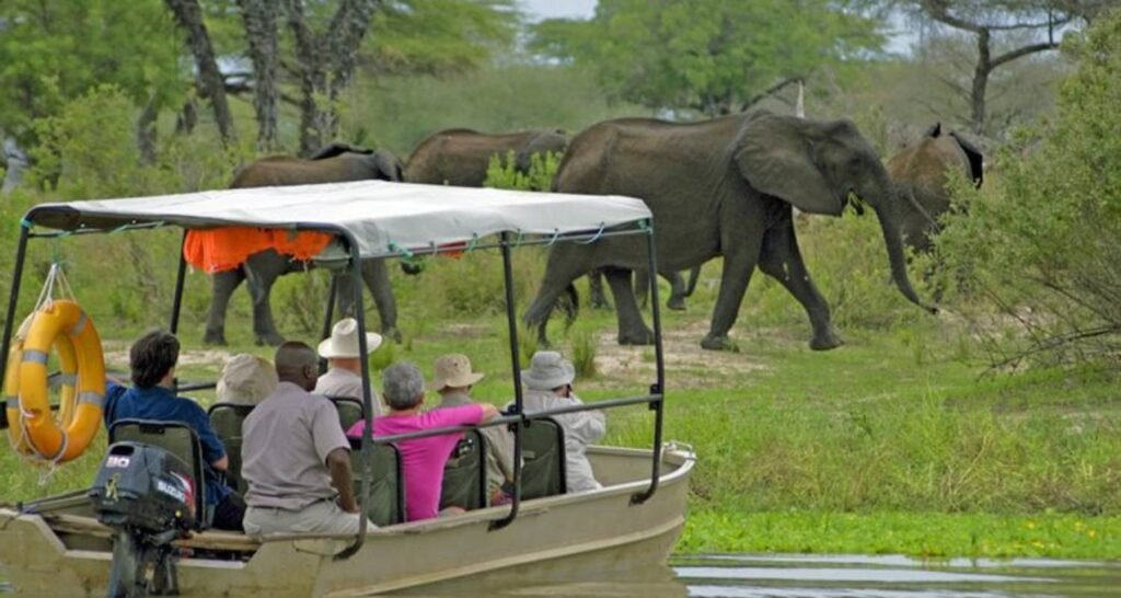 A Game Drive in Nyerere National Park.