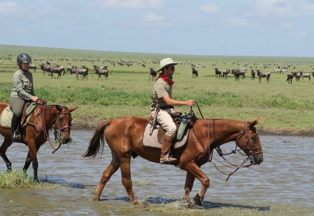 Horse Ride Safari in Tanzania