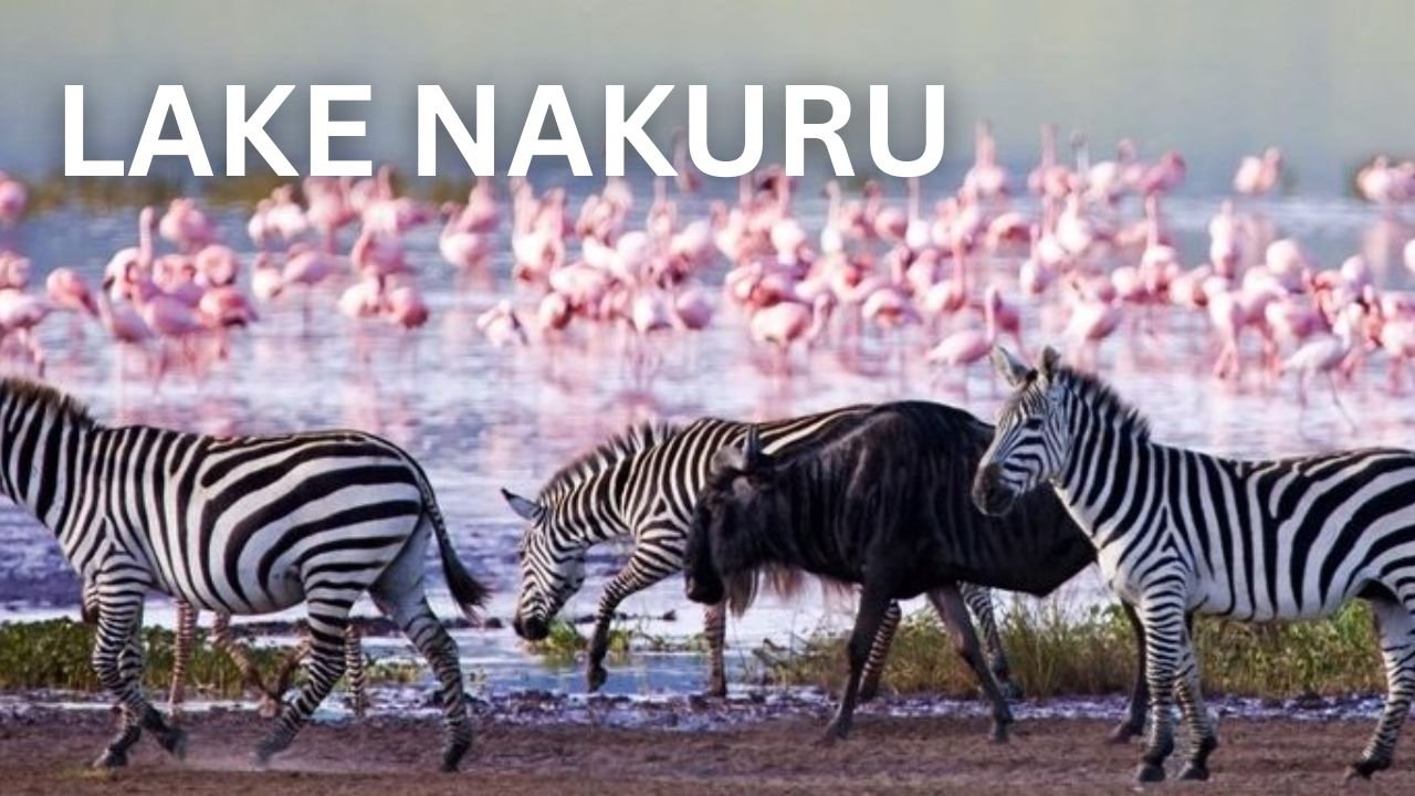 Lake Nakuru