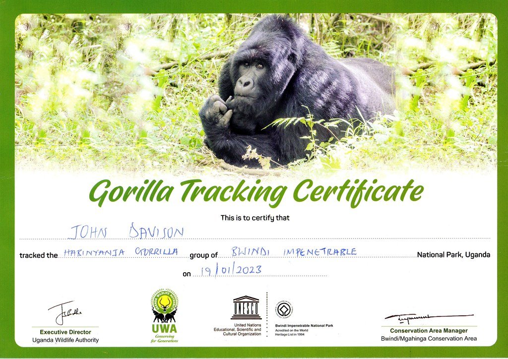Gorilla Trekking Certificate in Bwindi Impenetrable National Park