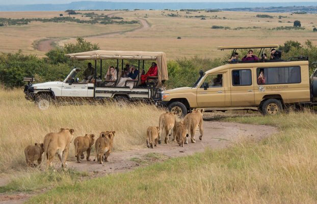 Tanzania Budget wildlife safari