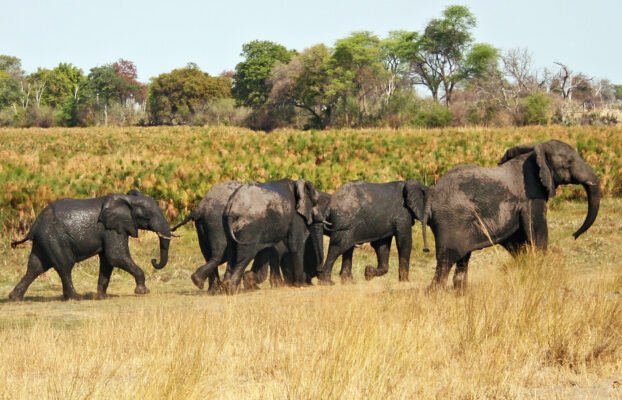 Luxury Activities to do in Bwabwata National Park