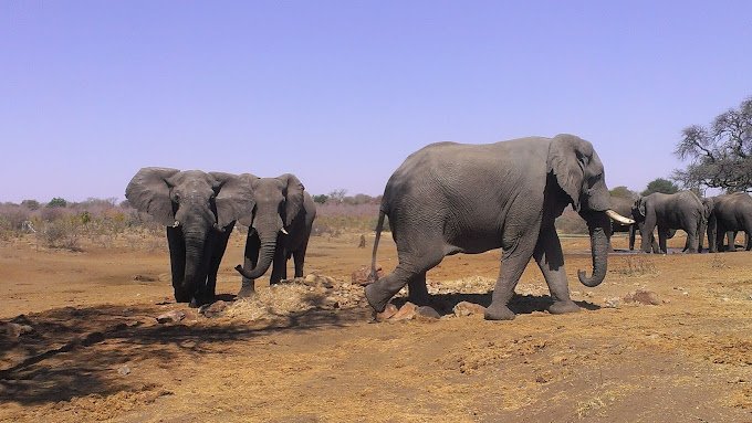 Bwabwata National Park