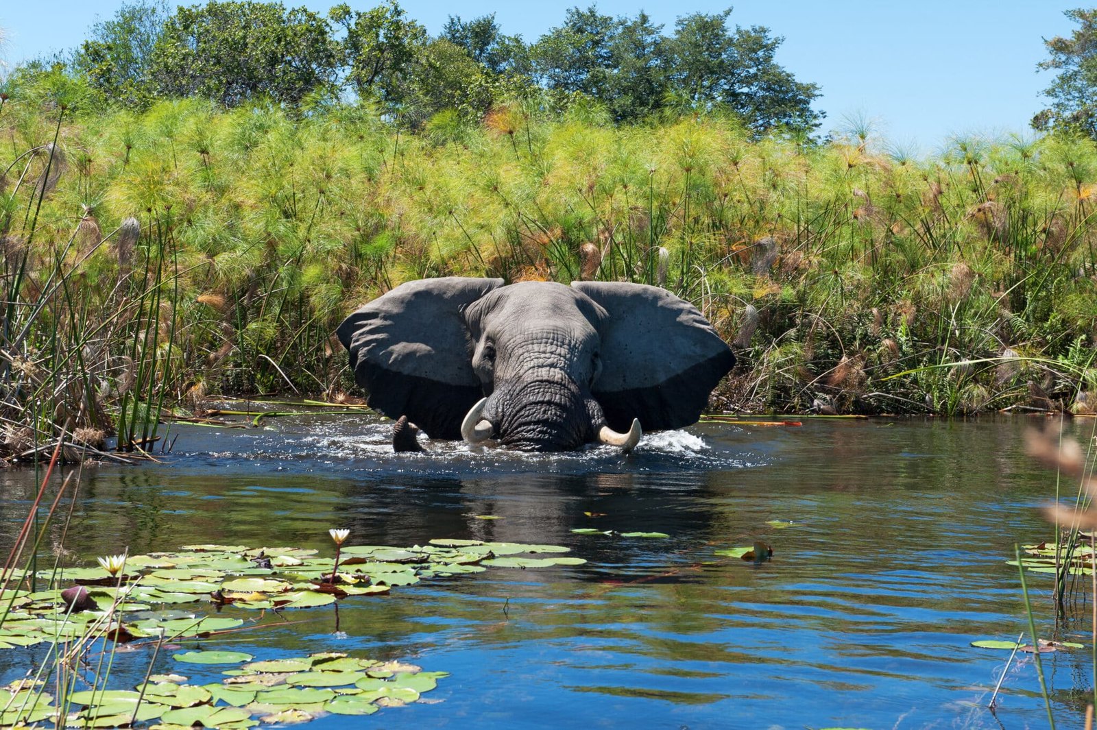 9 Days Victoria Falls and Okavango Delta Exploration