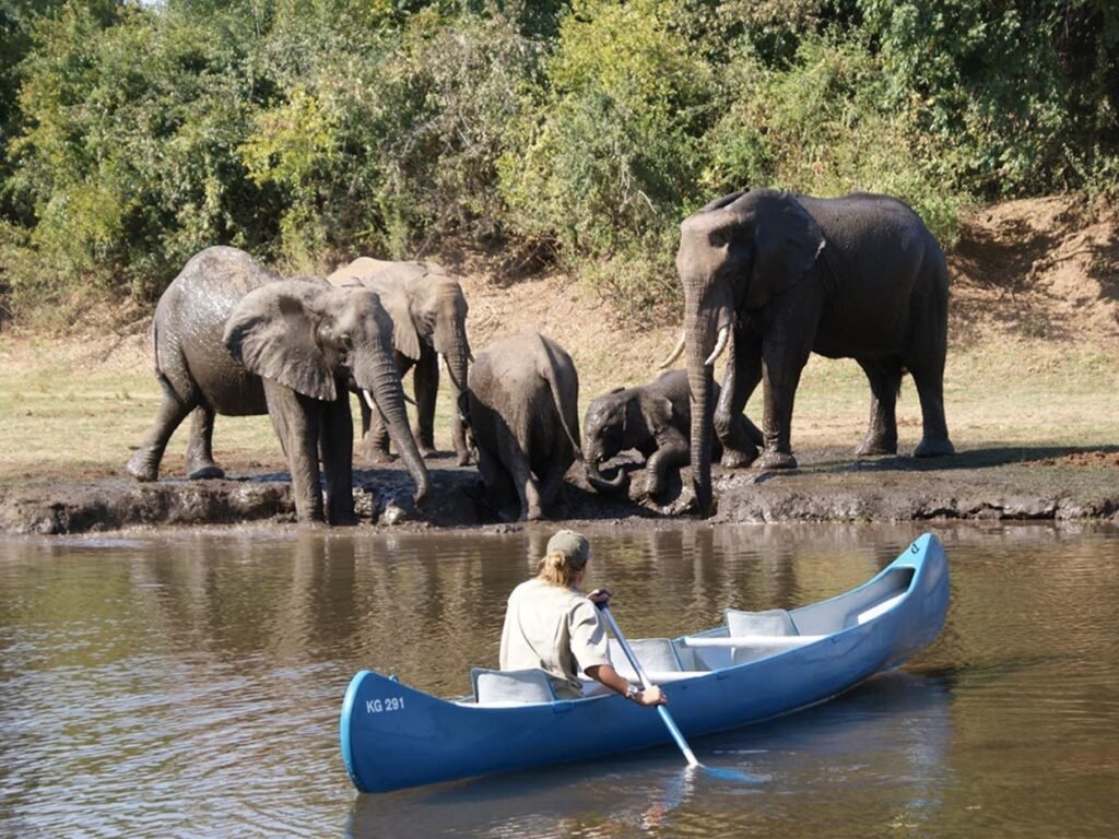 Kafue National Park 