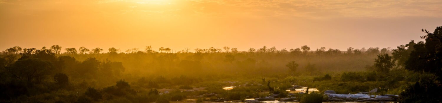 9 Days Of Romantic Kruger & Zimbabwe