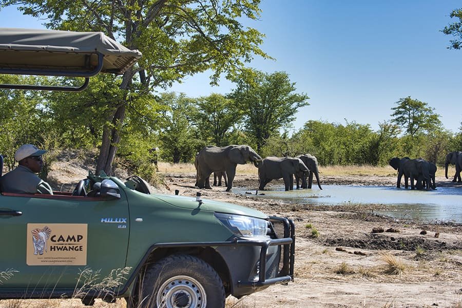 Victoria Falls, Hwange & Lake Kariba (9 Days)