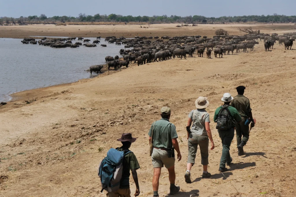 North Luangwa National Park