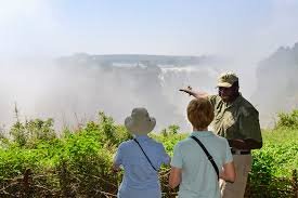 Safari tours