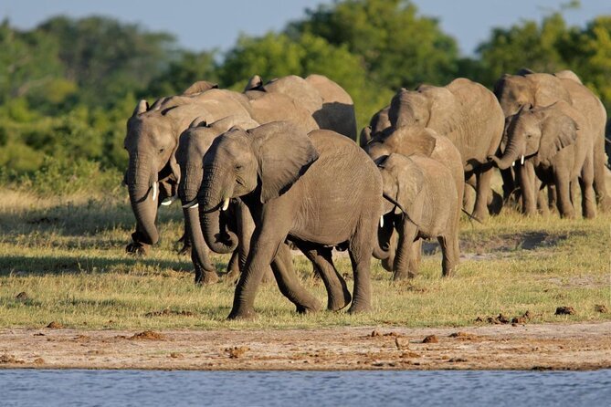 5 Days Victoria Falls and Hwange Budget Safari