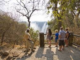 Guided walking safaris