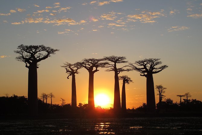 Madagascar Tours