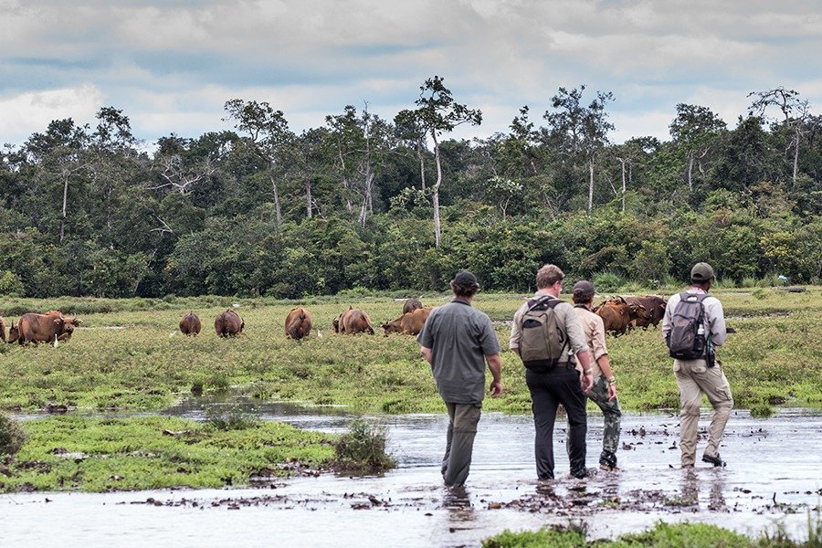 23-Day Roadtrip Congo(DRC)