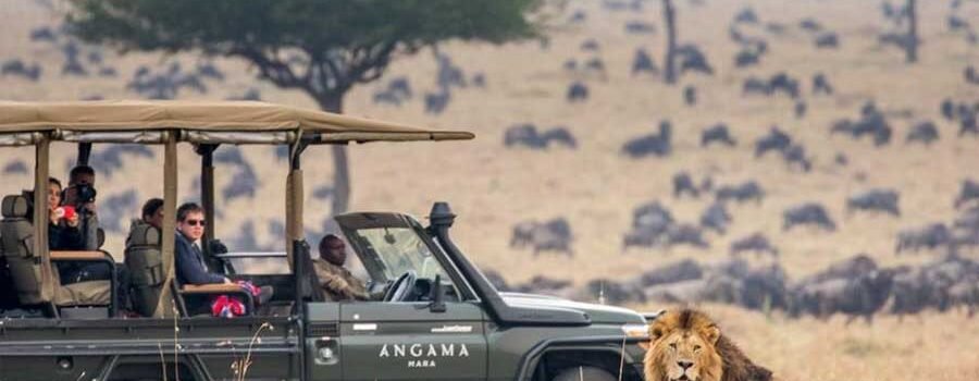 Year-round-wildlife-in-the-Mara