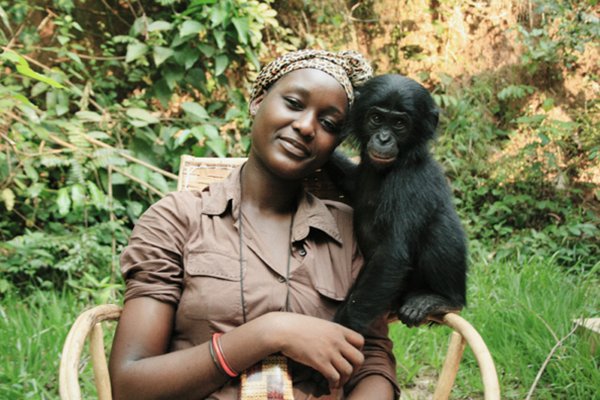 Lola Ya Bonobo Sanctuary