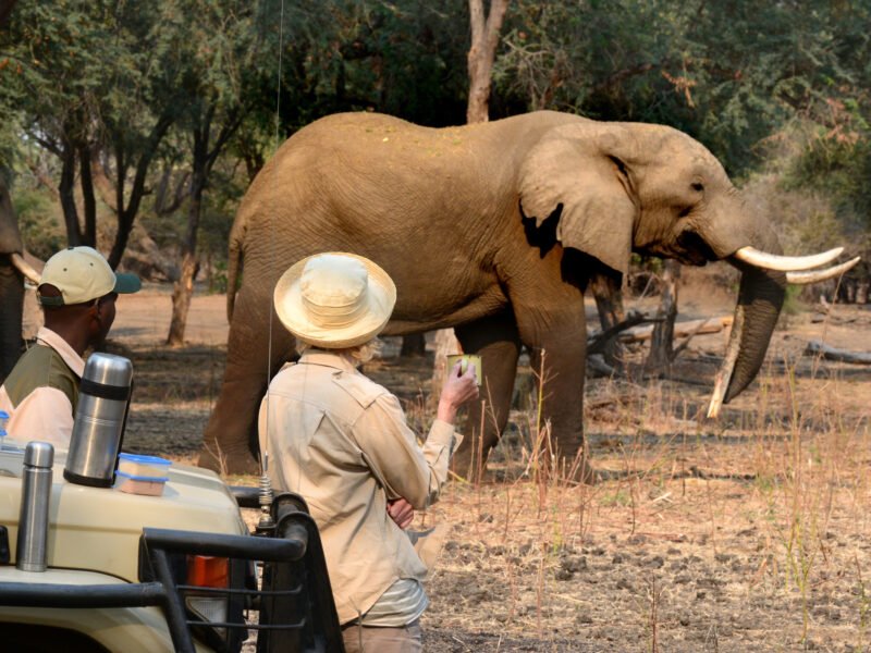 stc-game-drive-11 stc-game-drive-11