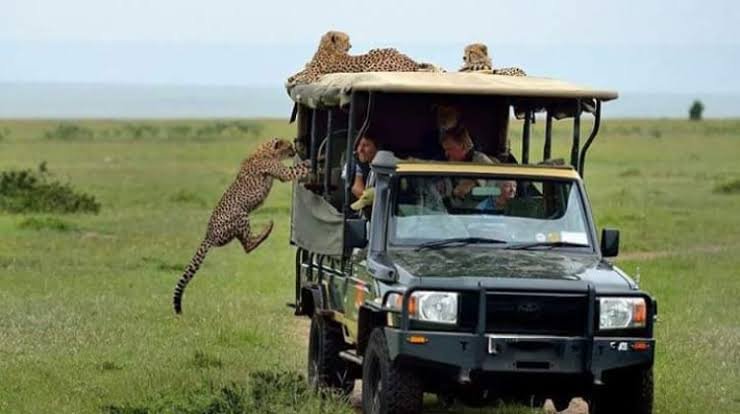 Bucket List Things to Do in the Masai Mara 2025