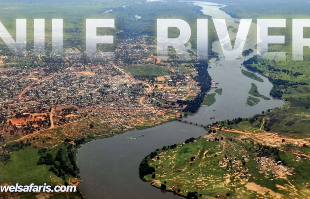 Where is the Nile River Located?