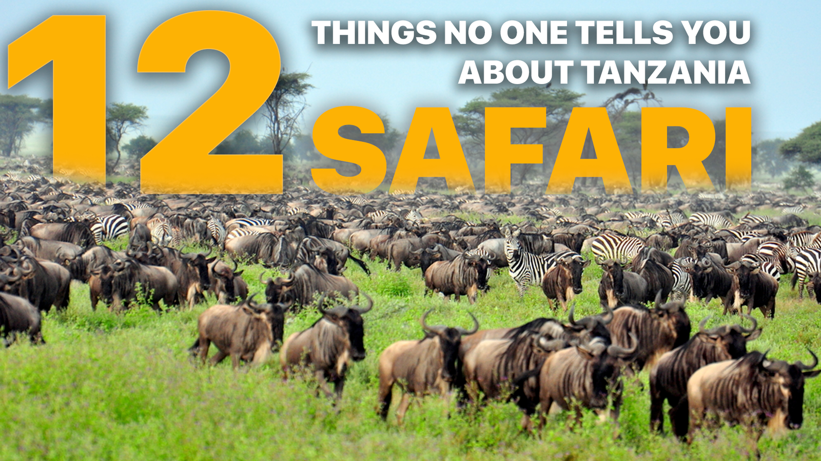 12 Things No One Tells You About a Tanzanian Safari