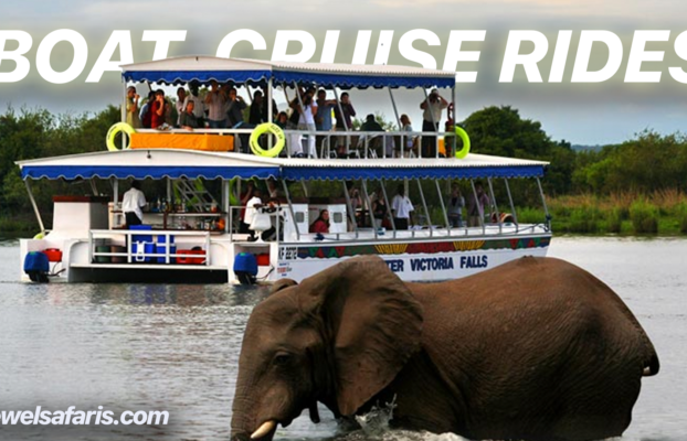 Zambezi River Boat Cruise