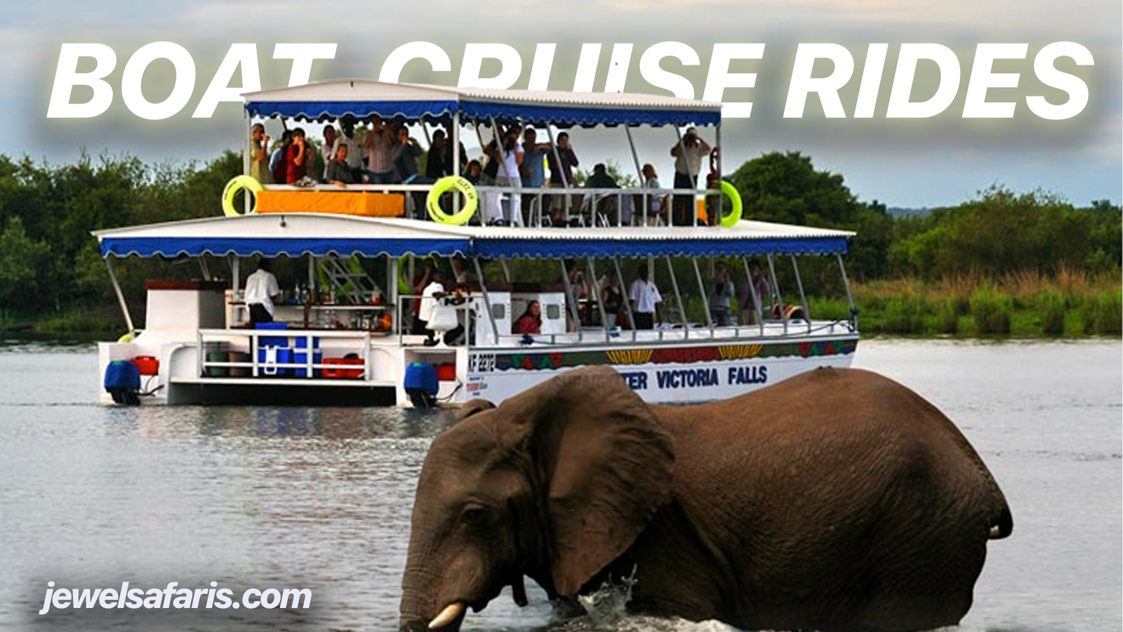 Zambezi River Boat Cruise