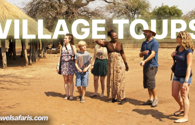 Victoria Falls Traditional Village Tour & Safari