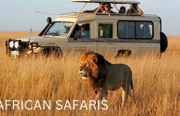 African Safari Holidays for Couples