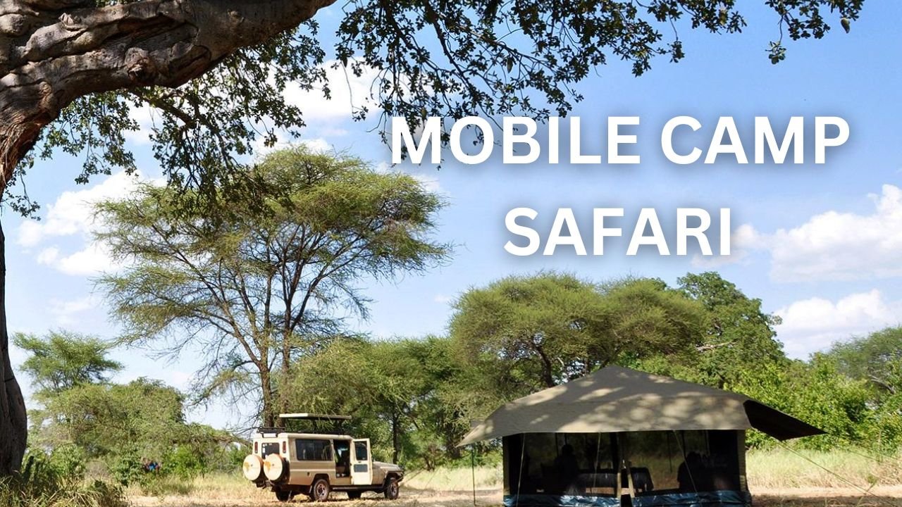 Tanzania Mobile Camping Safari