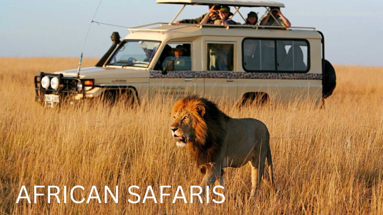 African Safari Holidays for Couples