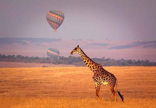 10 Reasons why you should visit Kenya