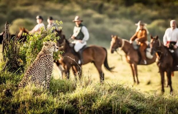 Horse Riding in Kenya