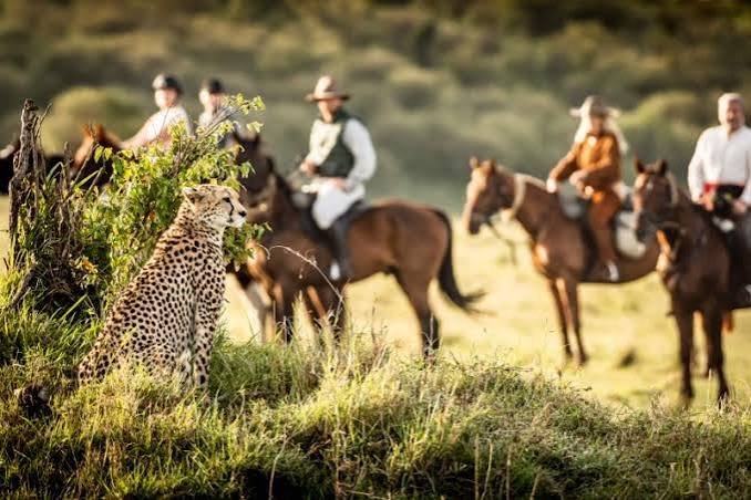 Horse Riding in Kenya