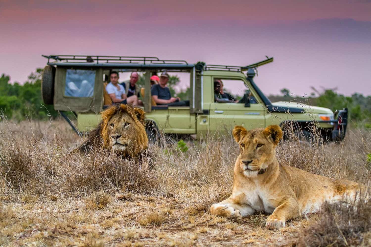 Game Safari in Mugie Conservancy