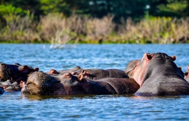 7 Days Odyssey of Discovering the Great Rift Valley