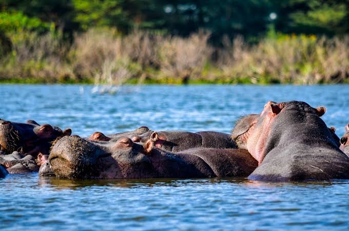 7 Days Odyssey of Discovering the Great Rift Valley