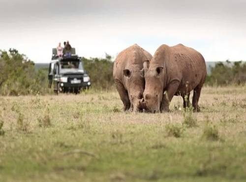 Laikipia-kenya