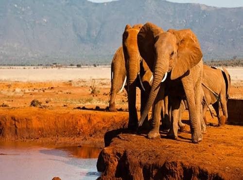 Tsavo-East-N.P