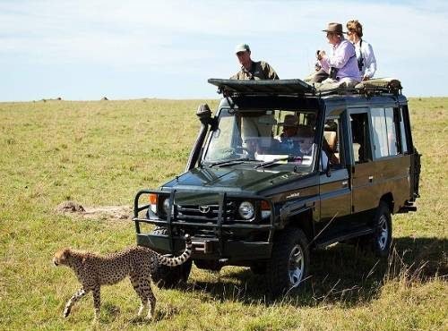 maasai-mara